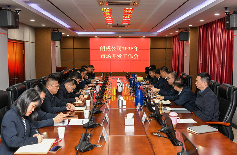 朗威公司召开2025年市场开发工作部署会