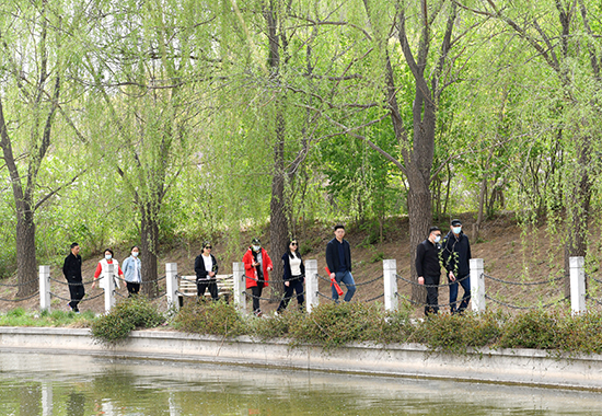 1681454781174794.jpg DSC_8378 拷贝.jpg