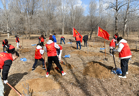 1711419799189876.jpg DSC_2934 拷贝1.jpg