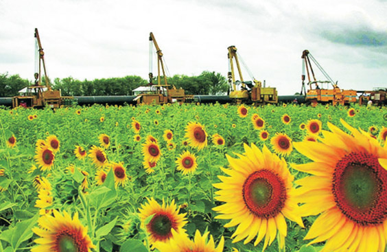 PMC Project of Yongqing-Dagang Third Line Natural Gas Transmission Pipeline Project